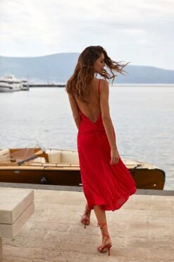 Roza Dress 14 Roza Dress -ALAMOUR STORE 114 5ee6f58e f1fe 4a33 9938 2db50e263a5b