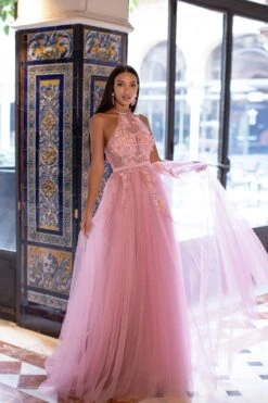 Otavia Tulle Gown - Pink -ALAMOUR STORE 145 a7aa230e 6642 478f 91ee e63b7b0abfcb