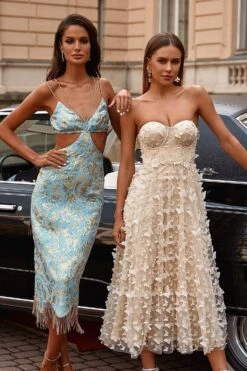 Mariposa Dress -ALAMOUR STORE 32 35362324 dbab 488f 9518 25dc9cfe8b4e