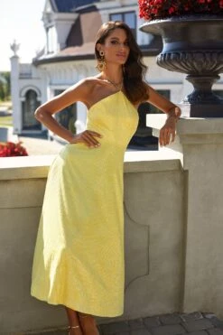 Colette Dress 12 Colette Dress -ALAMOUR STORE 59 c713b4ea cf55 442b a34b b767e7bc4429