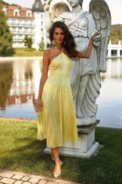 Colette Dress 13 Colette Dress -ALAMOUR STORE 62 54753fca 2f00 4c1d 9633 c88550646a03