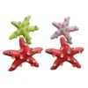 Zara Multicoloured Starfish Earrings -ALAMOUR STORE earrings113