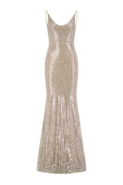 Nina Low Back Silver Gown -ALAMOUR STORE nina 1 gm