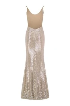 Nina Low Back Silver Gown -ALAMOUR STORE nina 2 gm